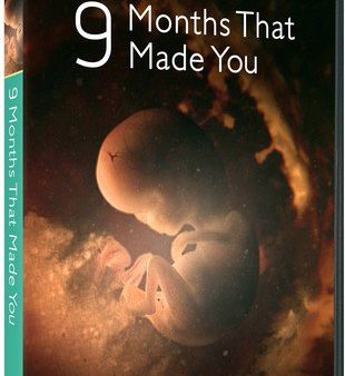 9 MONTHS THAT MADE YOU [IMPORT] Sale