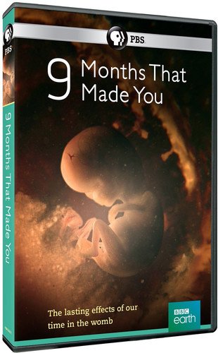 9 MONTHS THAT MADE YOU [IMPORT] Sale