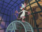 Pinky And The Brain Original Production Cel on Original Background: Pinky For Discount