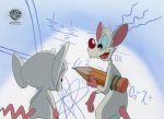 Pinky And The Brain Original Production Cel with Matching Drawing: Pinky, Brain Online