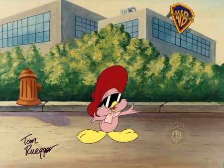 Tiny Toons Adventures Original Production Cel Signed by Tom Ruegger: Sweetie Bird Discount